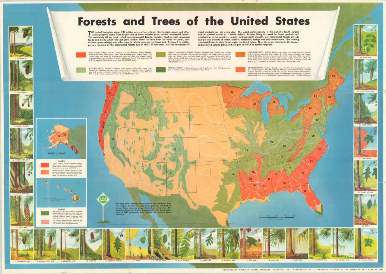 Forests and Trees of the United States  Curtis Wright Maps